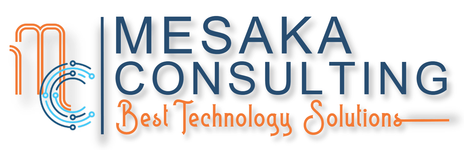 Mesaka Consulting